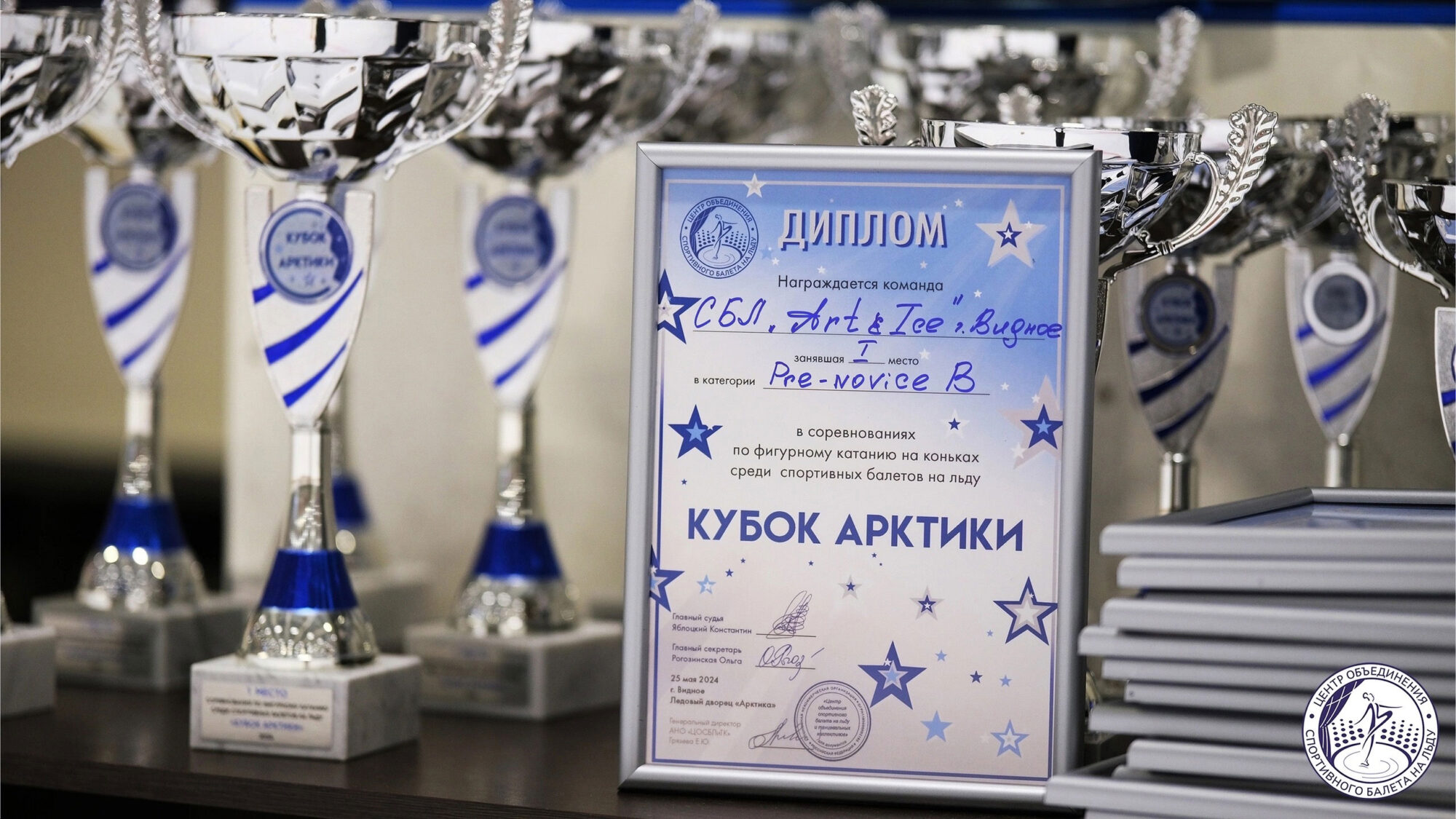 Спортивные трофеи