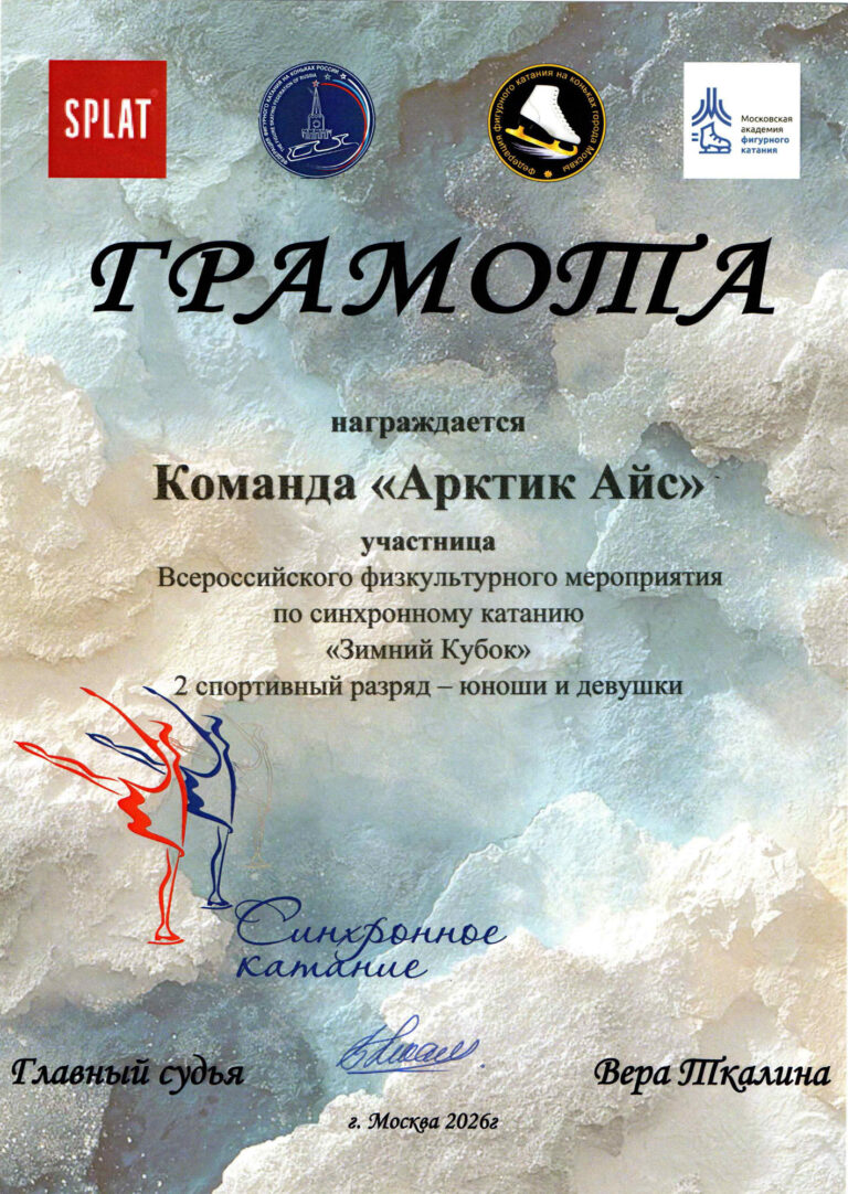 Зимний Кубок